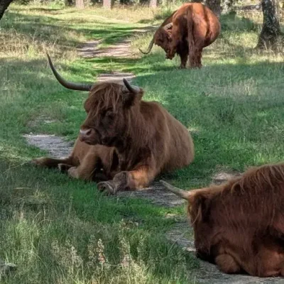 coaching-vrouwen-zelf-ontwikkeling-zelfvertrouwen