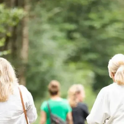 hsp-coaching-drenthe-groningen