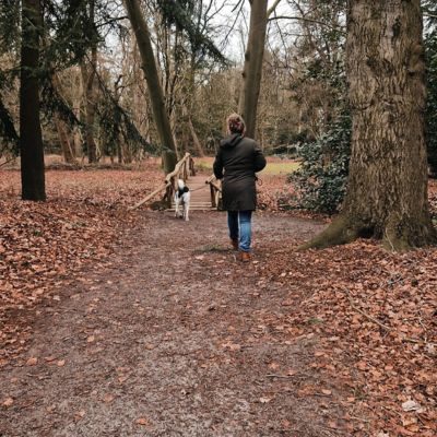 pura-coaching-persoonlijke-ontwikkeling-over-ellen